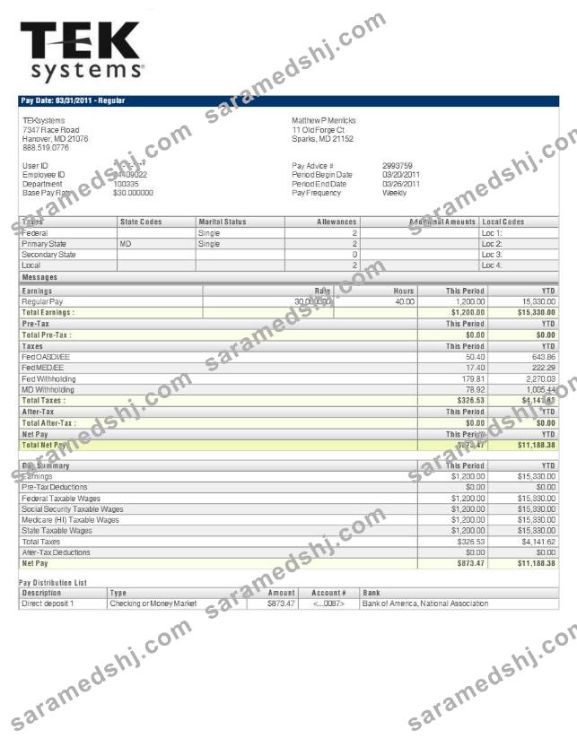 TEKsystems pay stub template in Word and PDF formats.pdf, 1
